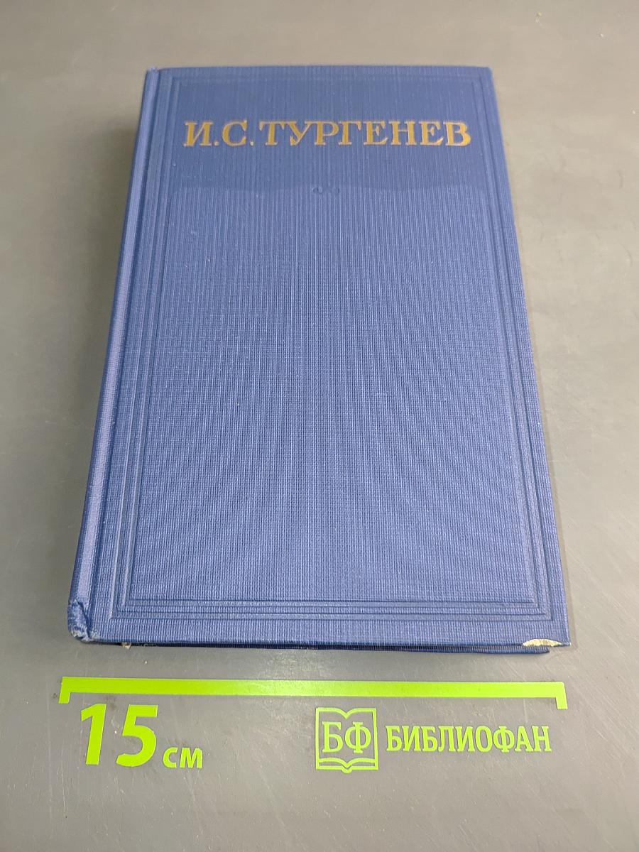 Сочинения. Том одиннадцатый. Повести и рассказы 1871-1877