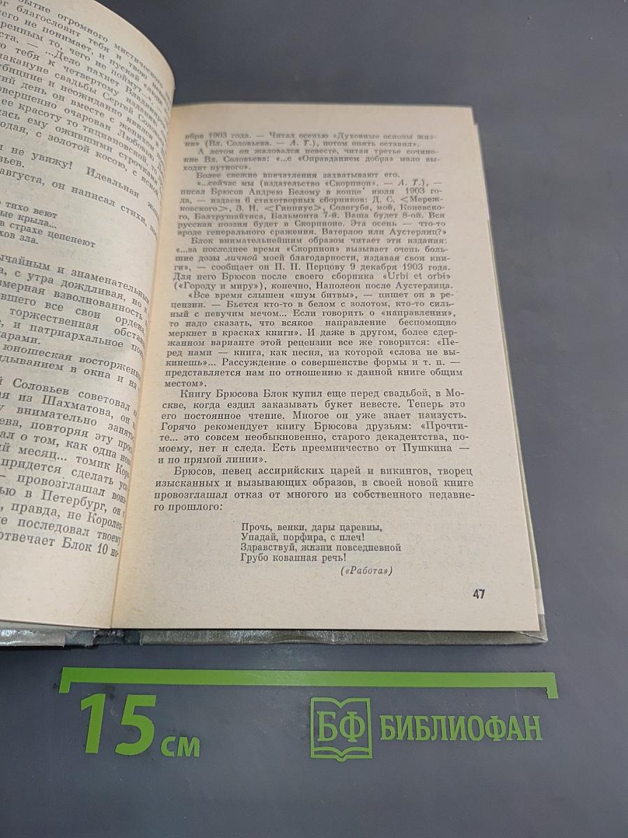 Александр Блок. Жизнь замечательных людей