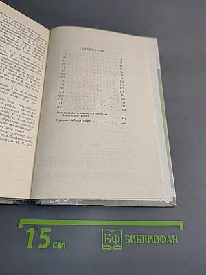 Александр Блок. Жизнь замечательных людей