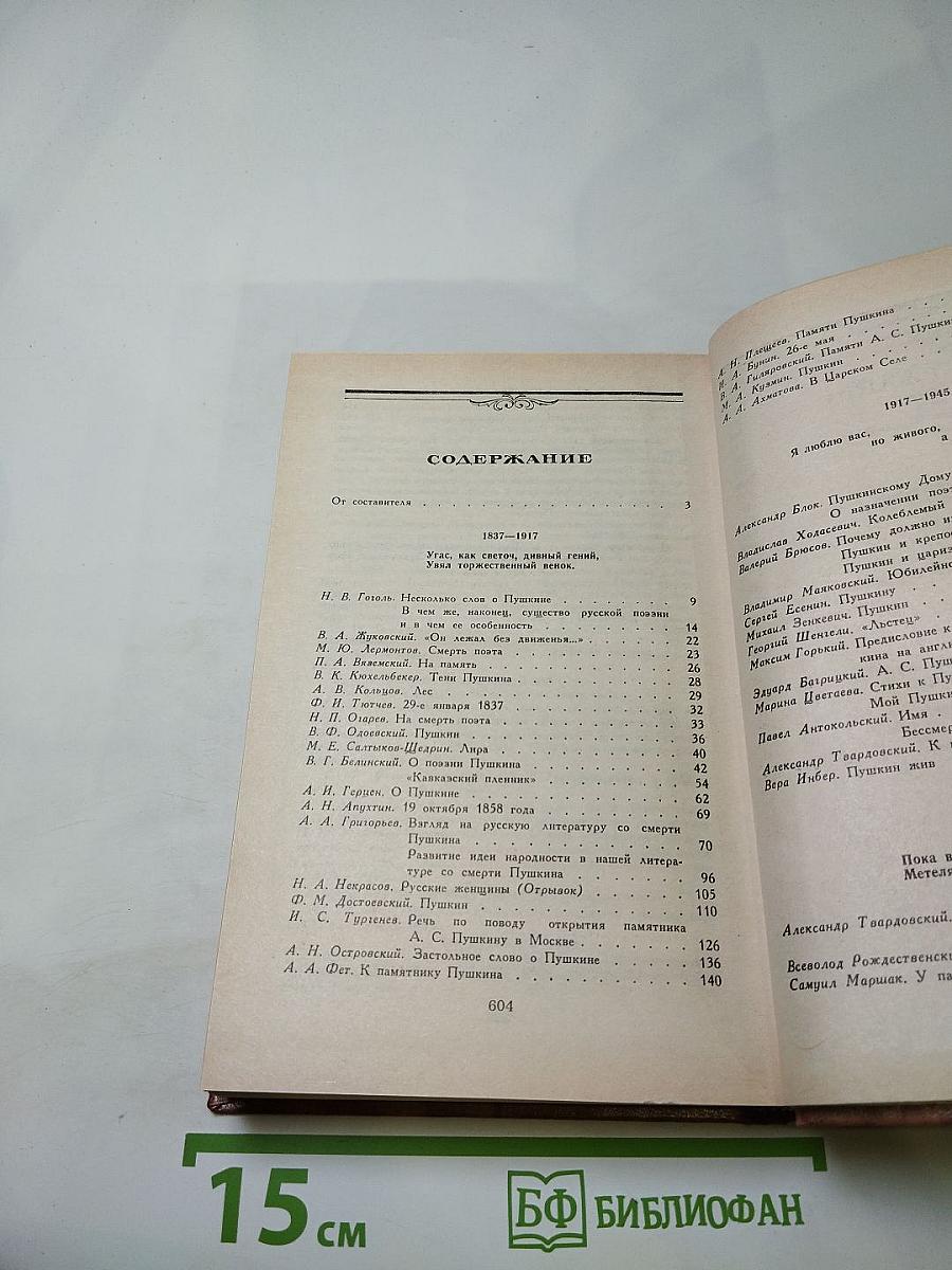 Светлое имя Пушкин