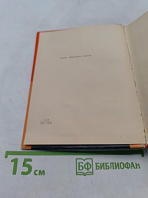 Всеволод Вишневский. Документальная повесть