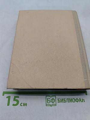 Всеволод Вишневский. Документальная повесть