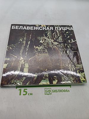 Беловежская пуща