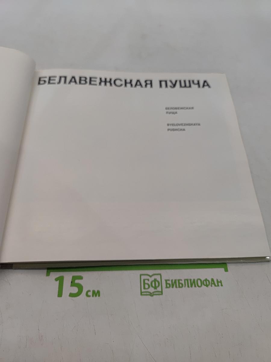 Беловежская пуща