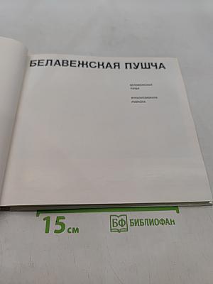 Беловежская пуща