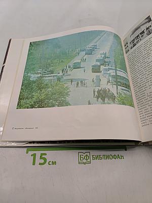 Беловежская пуща
