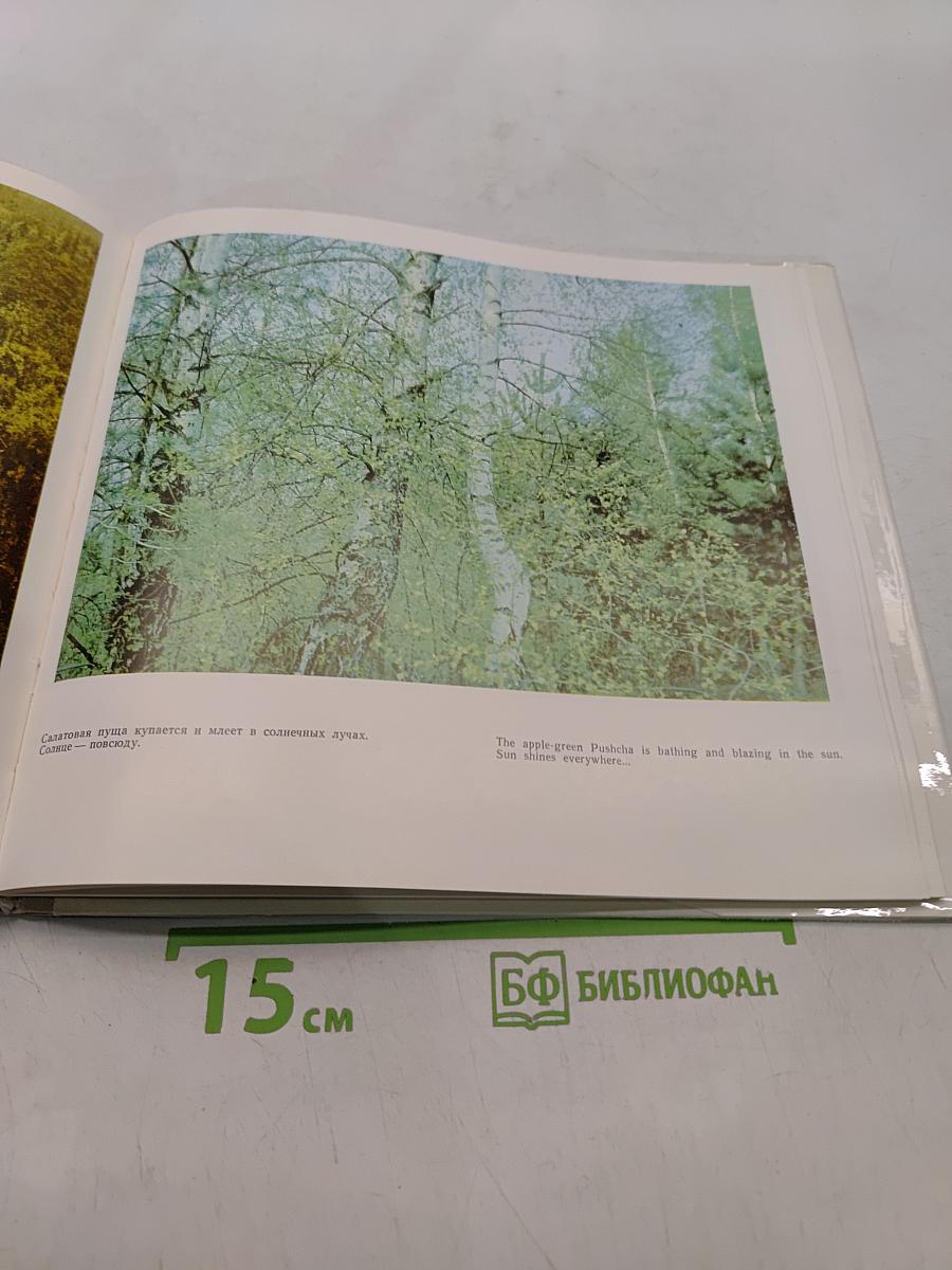 Беловежская пуща