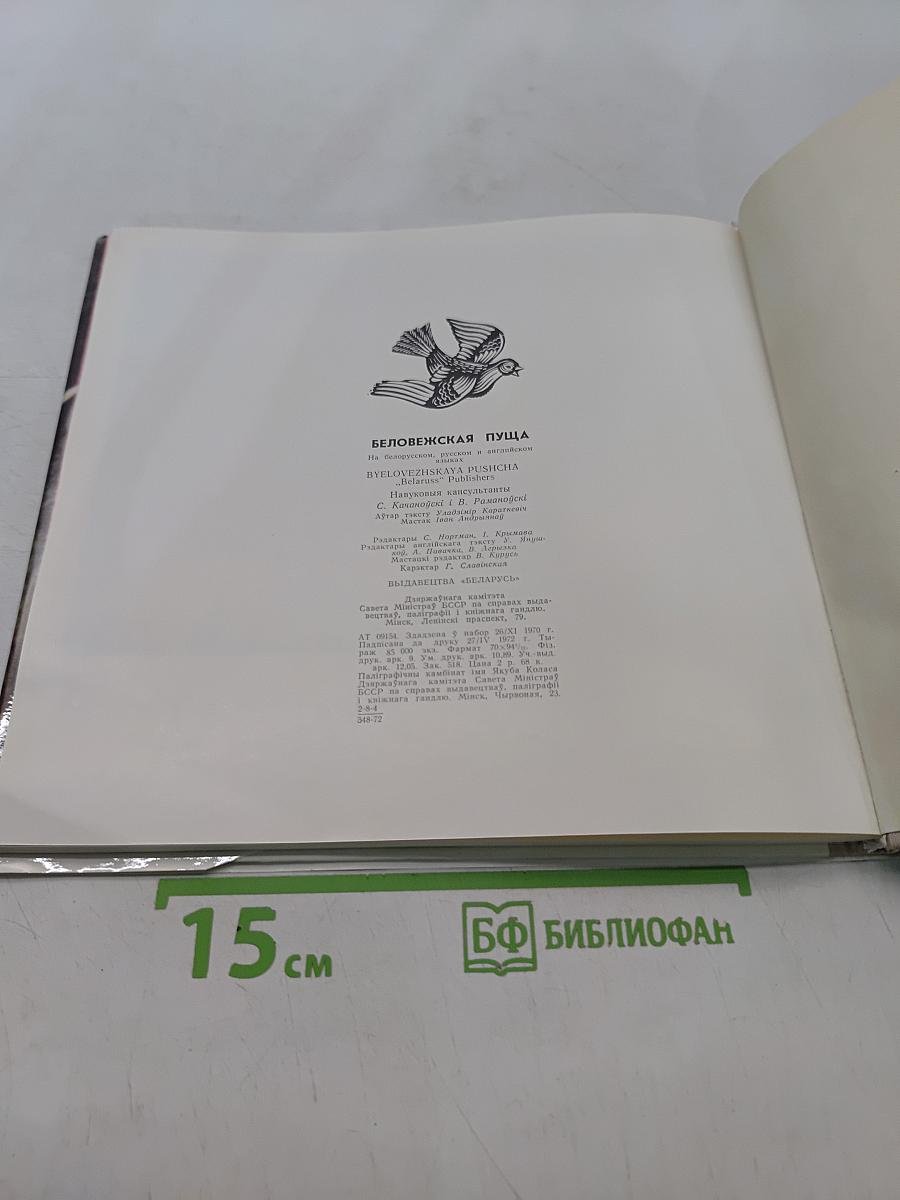 Беловежская пуща