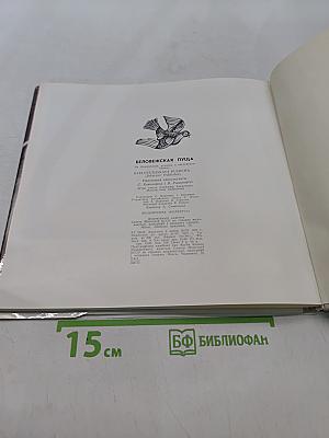 Беловежская пуща