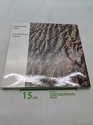 Беловежская пуща