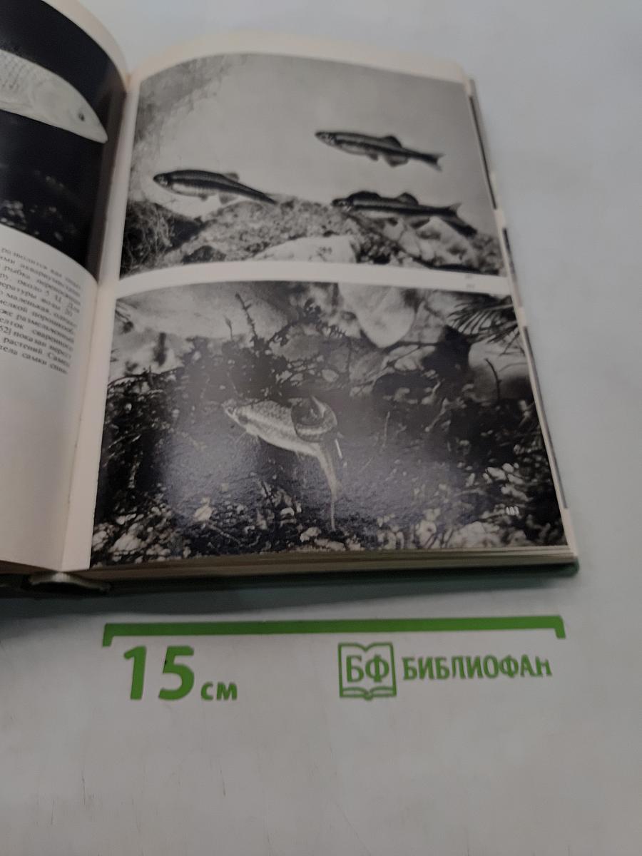 Иллюстрированная энциклопедия рыб