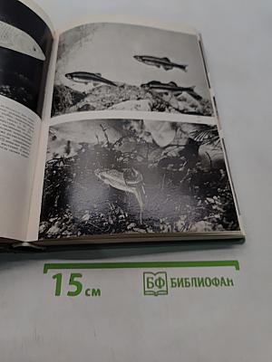 Иллюстрированная энциклопедия рыб