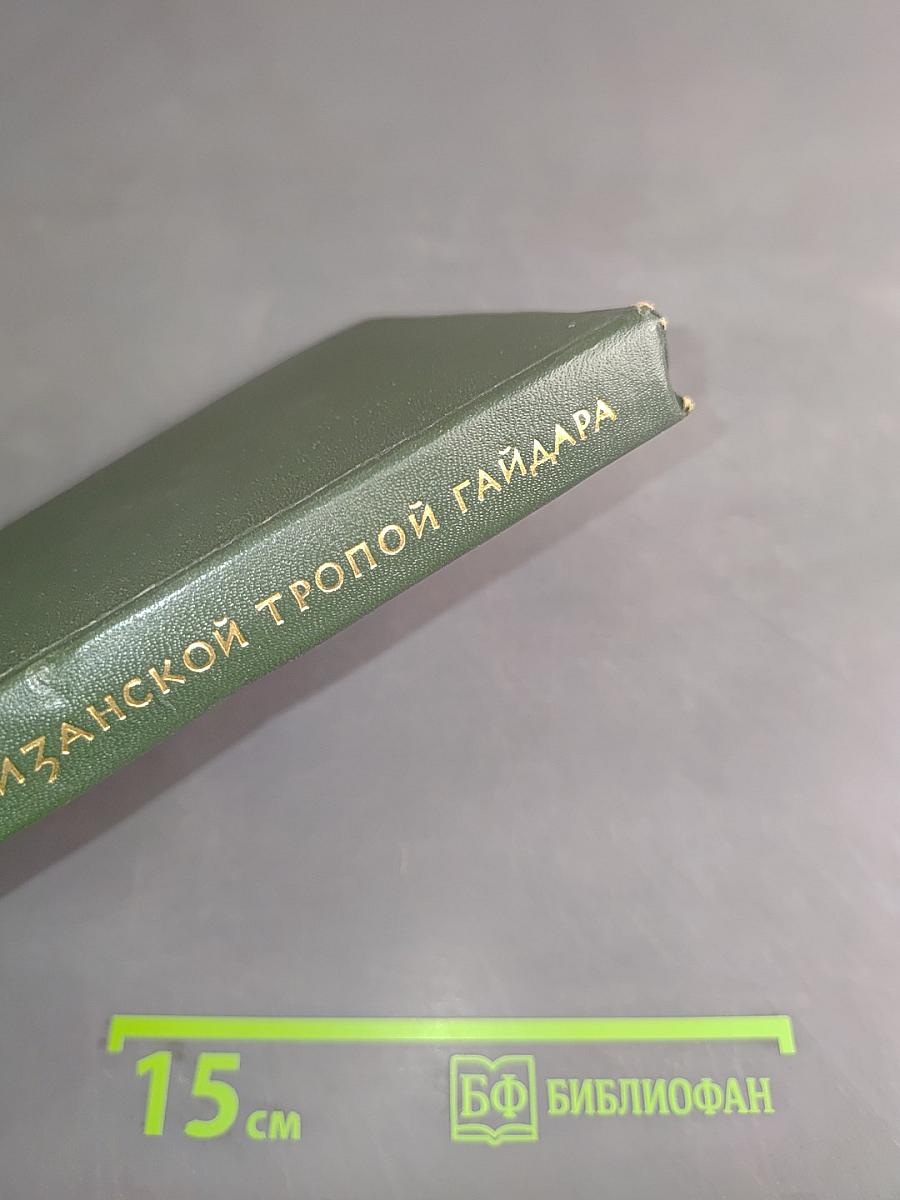 Партизанской тропой Гайдара