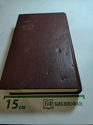 Необыкновенное лето
