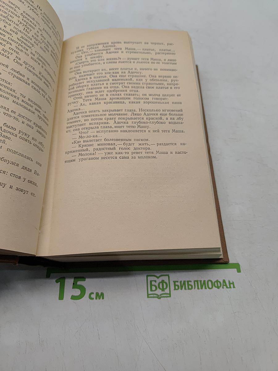 Собрание сочинений. Том 4. Очерки и рассказы 1895-1906