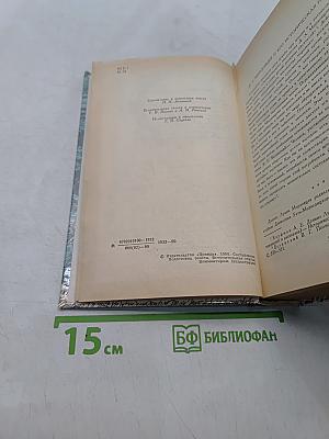 За чьи грехи? Великий раскол