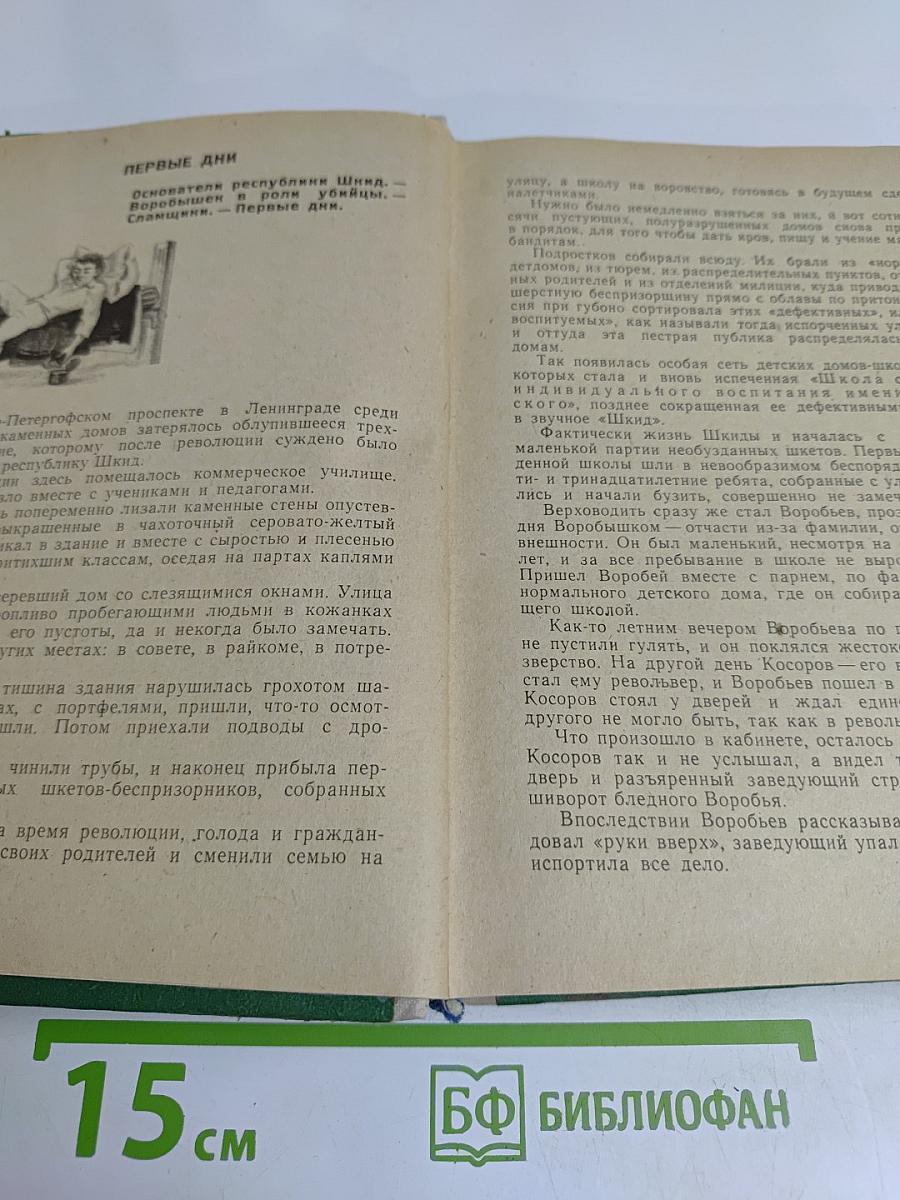 Республика ШКИД