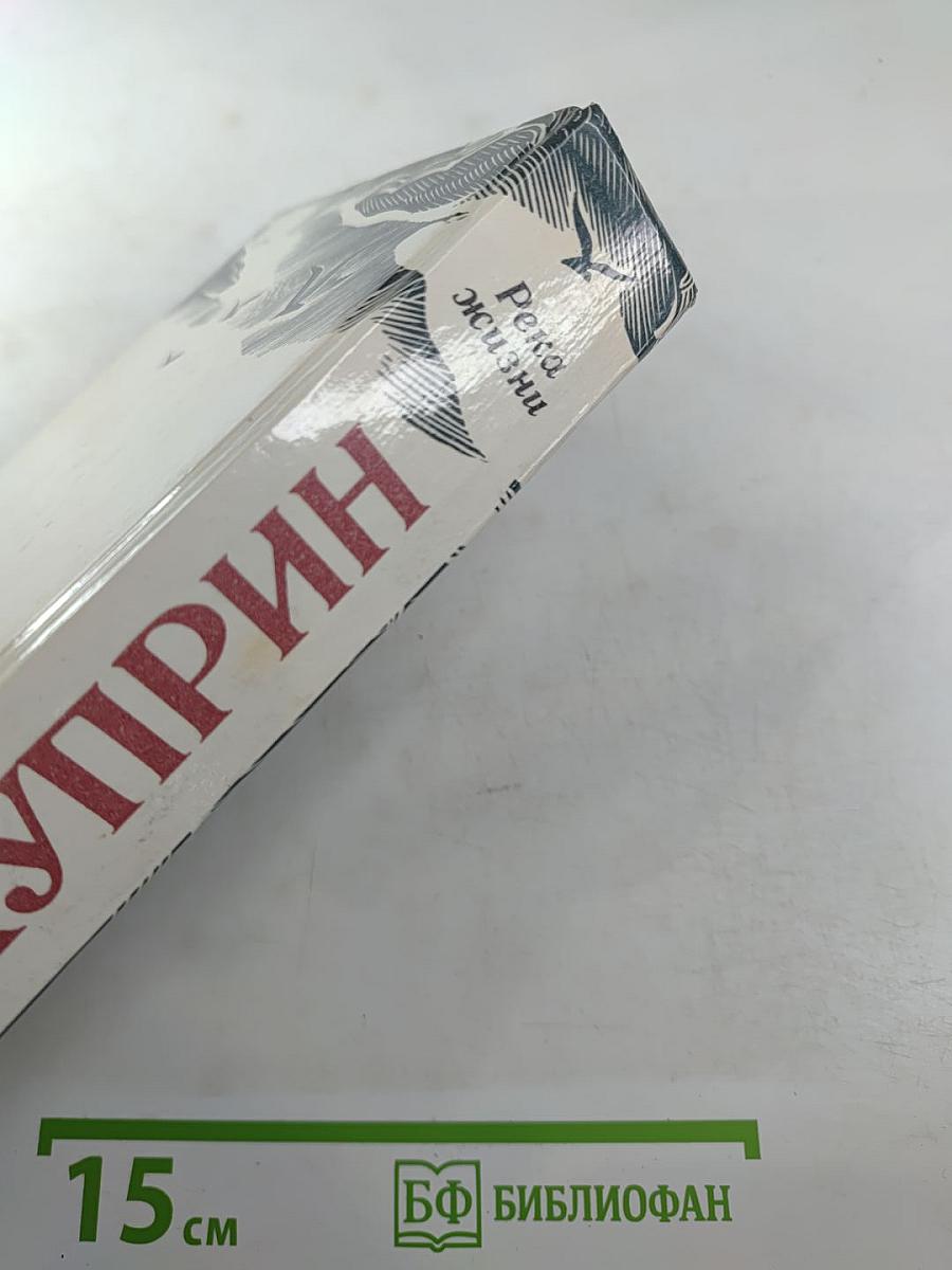 Река жизни: Повести и рассказы