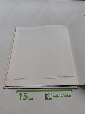 Решать дело сегодня