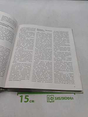 Решать дело сегодня