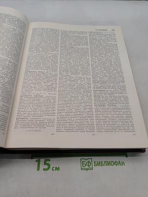 Большая Советская Энциклопедия. Том 17