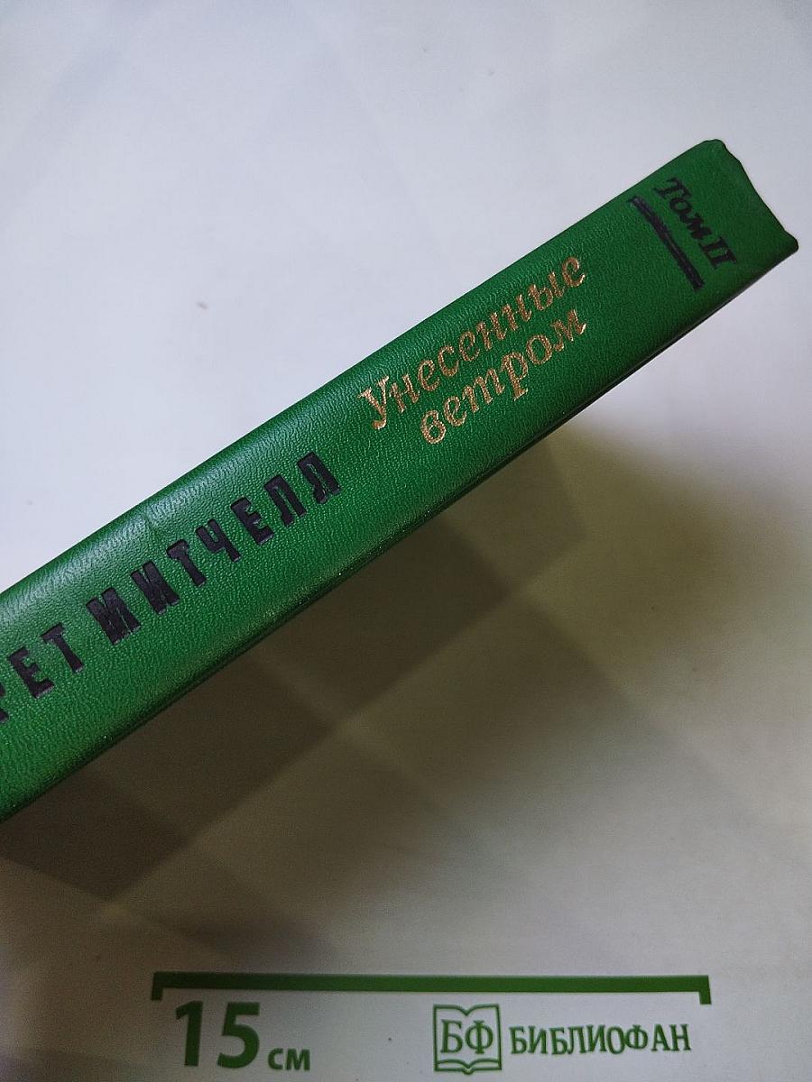 Унесенные ветром. Том II