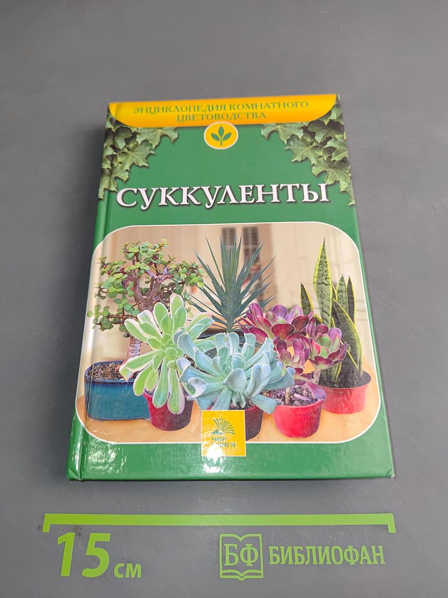 Суккуленты