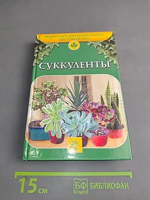 Суккуленты