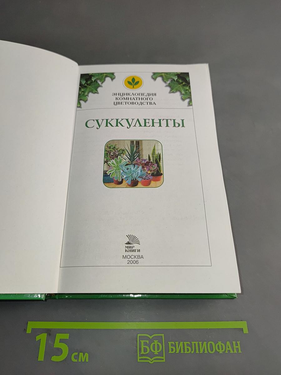 Суккуленты