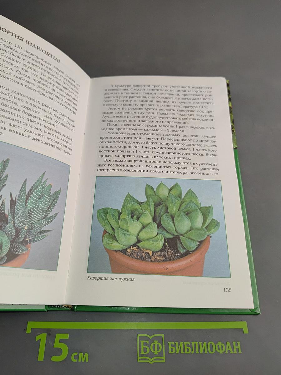 Суккуленты