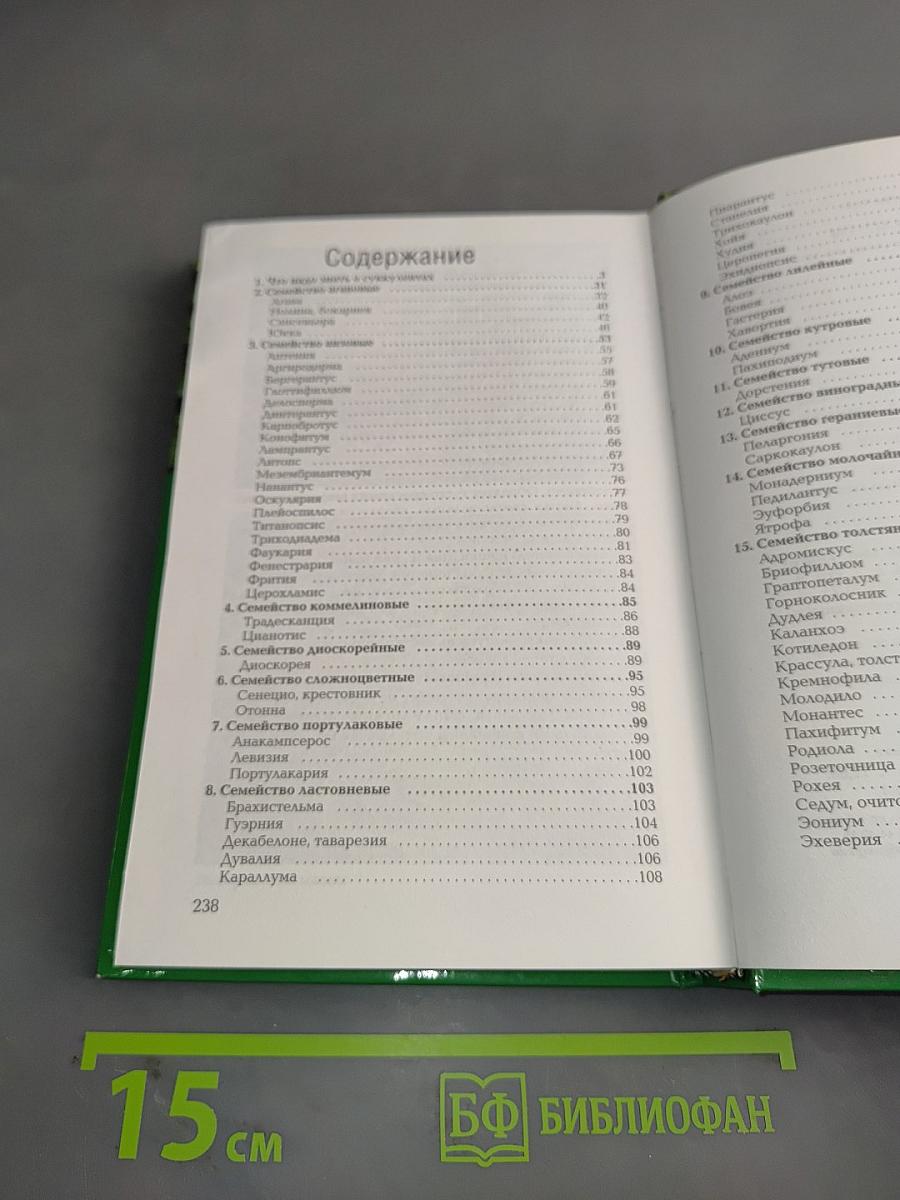 Суккуленты
