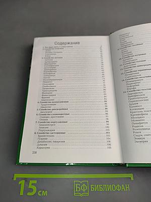 Суккуленты