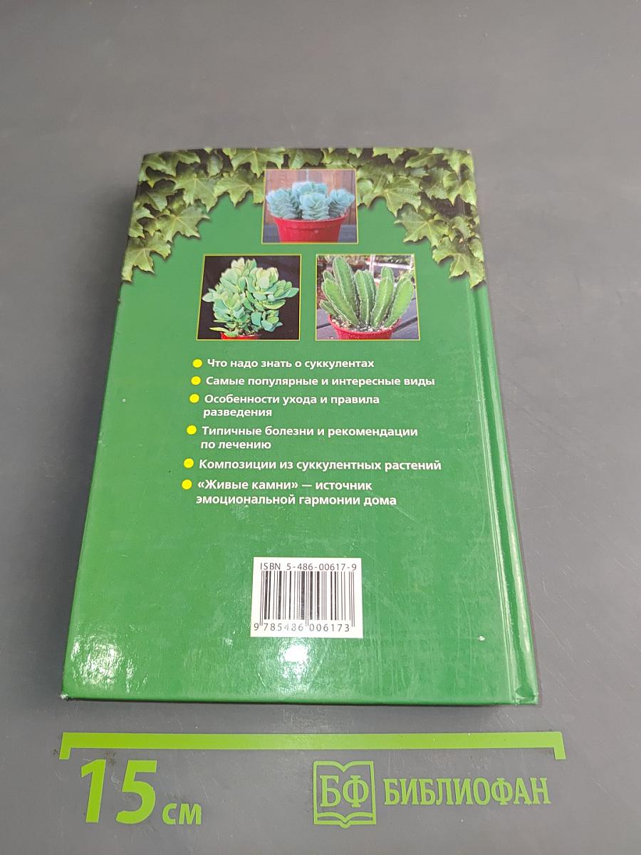 Суккуленты