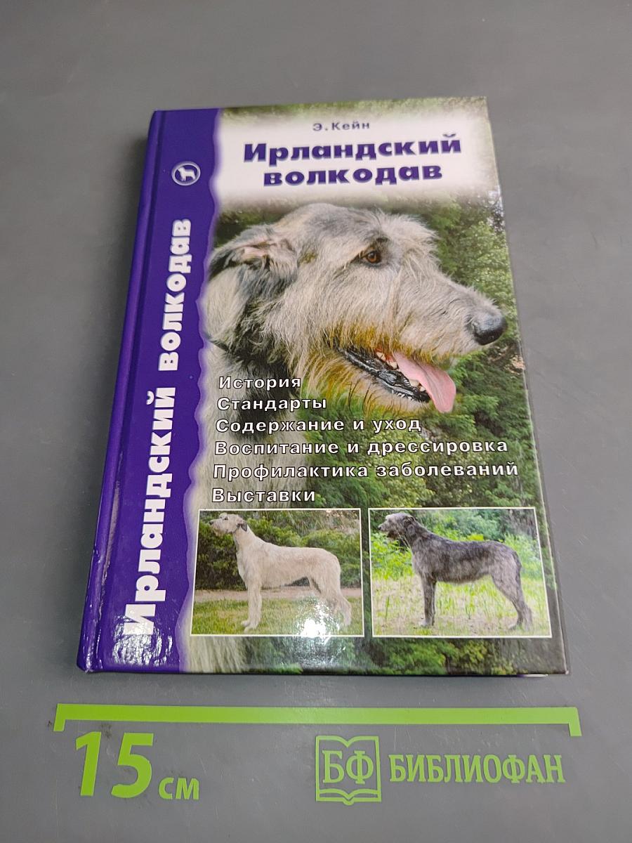 Ирландский волкодав