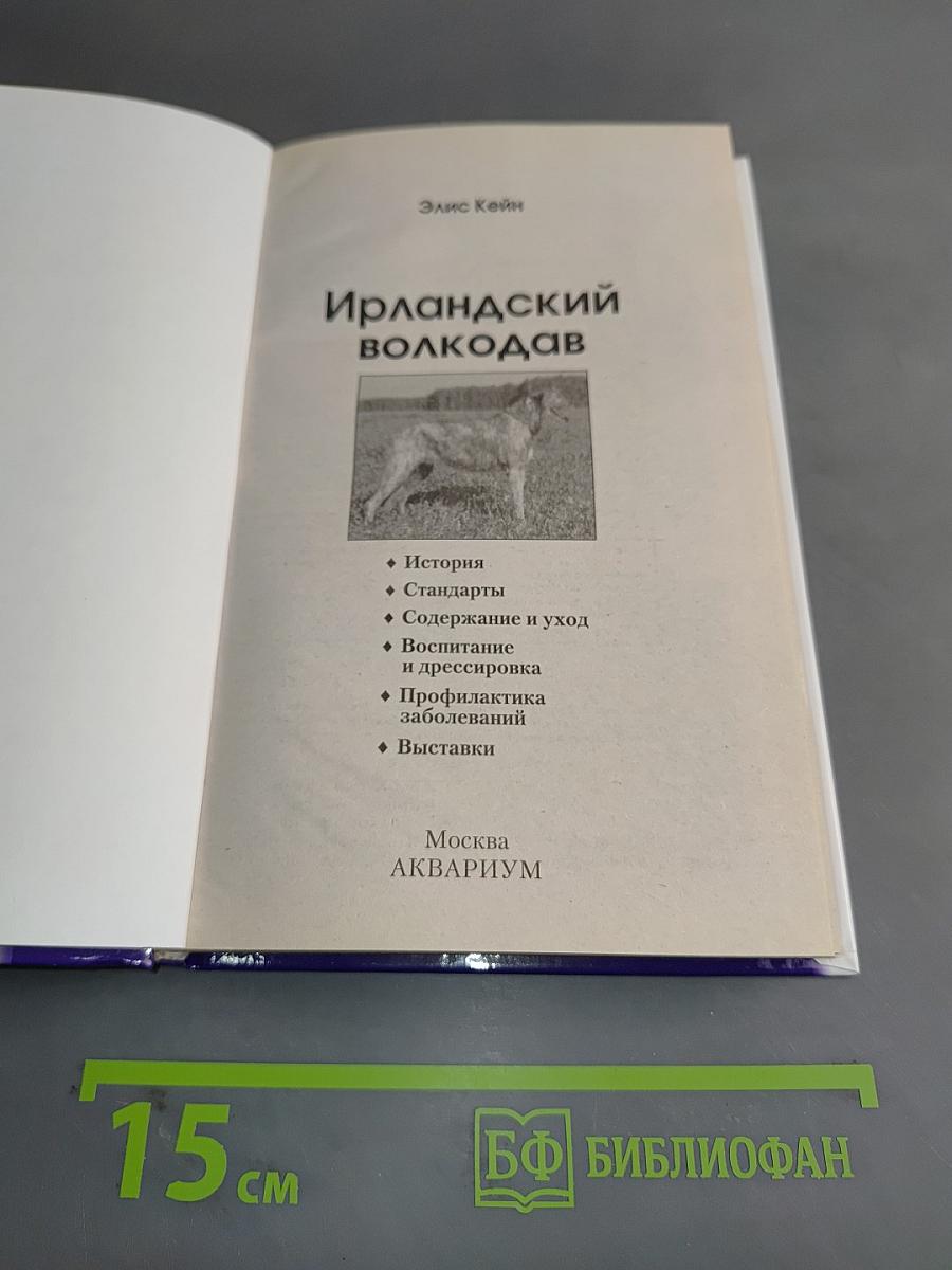 Ирландский волкодав