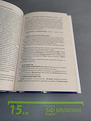 Ирландский волкодав