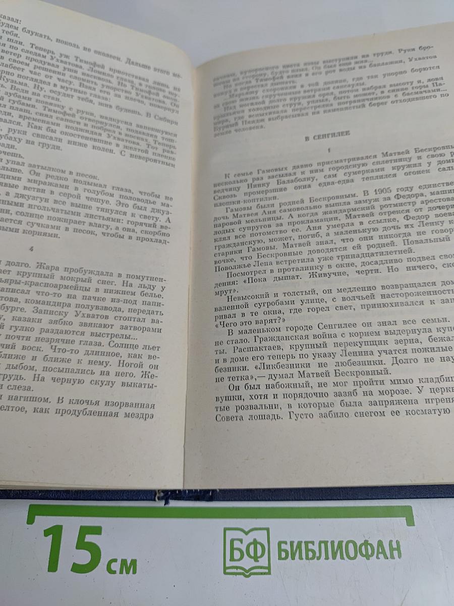 Собрание сочинений. Том пятый. Дополнительный. Рассказы. Статьи
