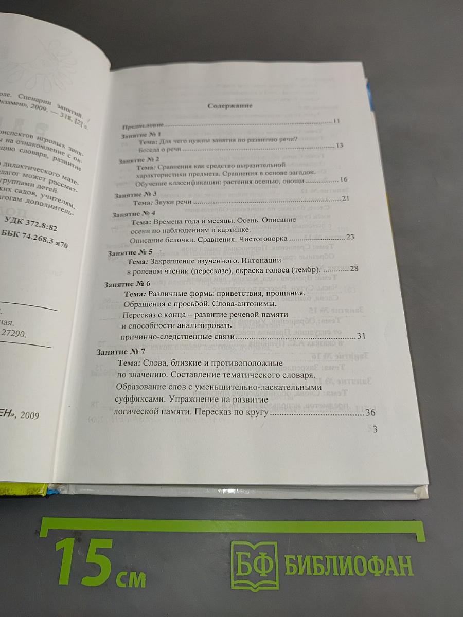 Развитие речи. Подготовка к школе. Сценарии занятий