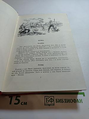 Честное слово. Добрый дом. Звездочка