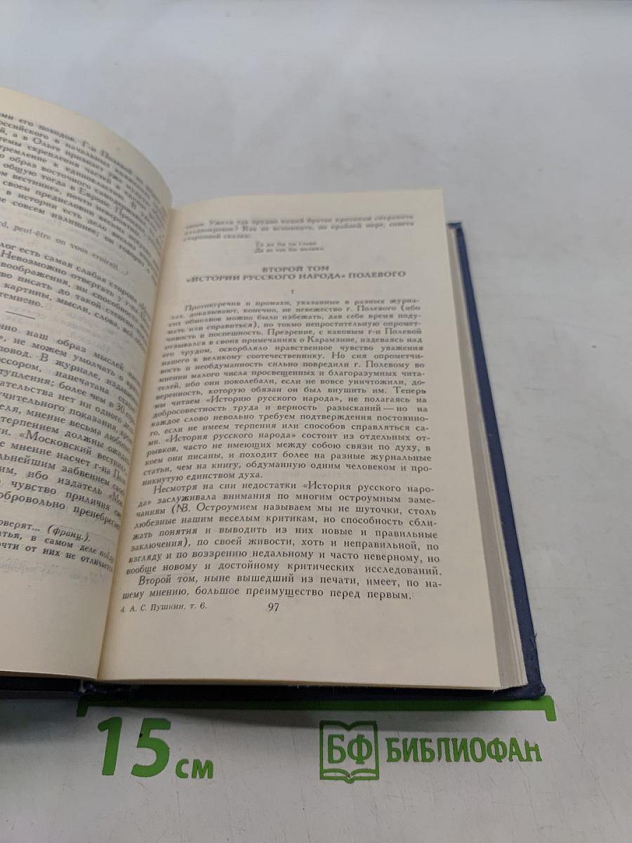 Собрание сочинений в десяти томах. Том VI. Критика и публицистика