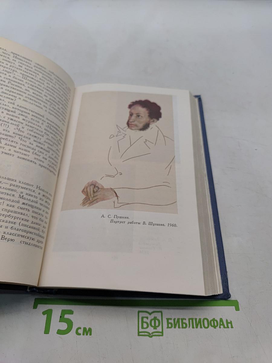 Собрание сочинений в десяти томах. Том VI. Критика и публицистика