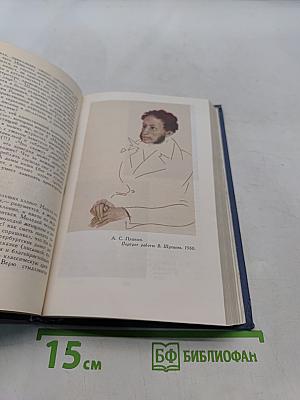 Собрание сочинений в десяти томах. Том VI. Критика и публицистика
