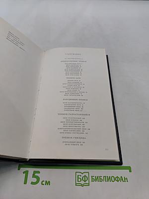 Неумолкмая колокольня