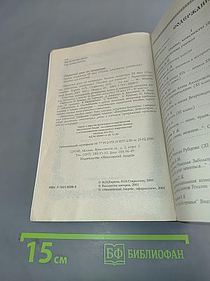 Открытый урок по литературе. Русская литература XX века. Пособие для учителей