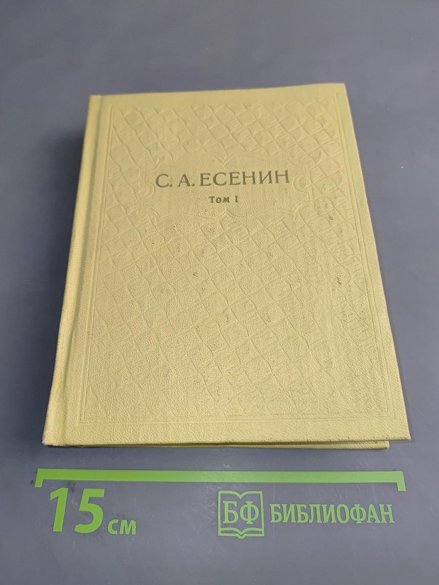 Собрание сочинений. Том 1. Стихотворения 1910-1925
