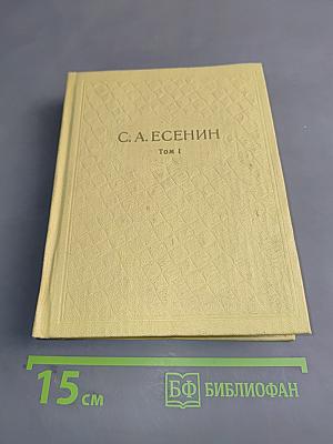 Собрание сочинений. Том 1. Стихотворения 1910-1925