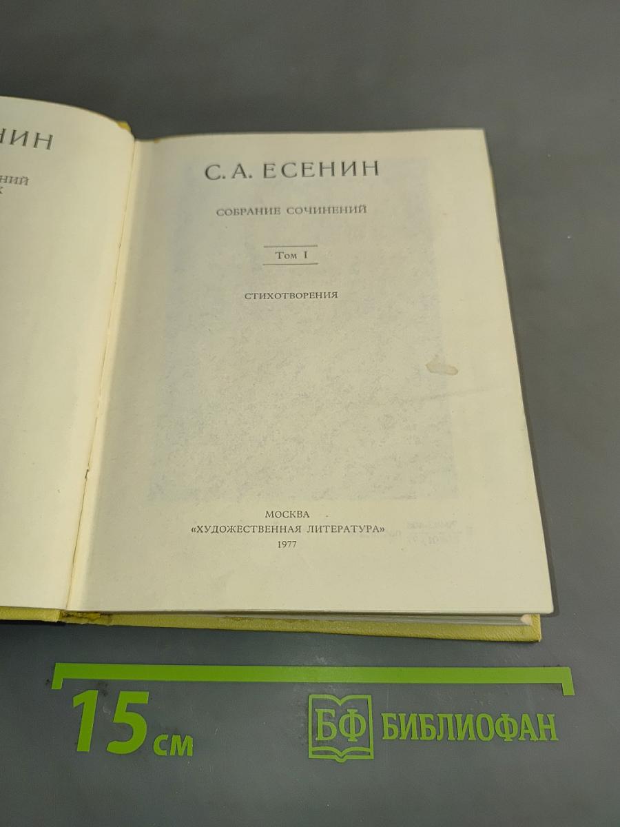 Собрание сочинений. Том 1. Стихотворения 1910-1925