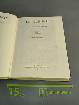 Собрание сочинений. Том 1. Стихотворения 1910-1925