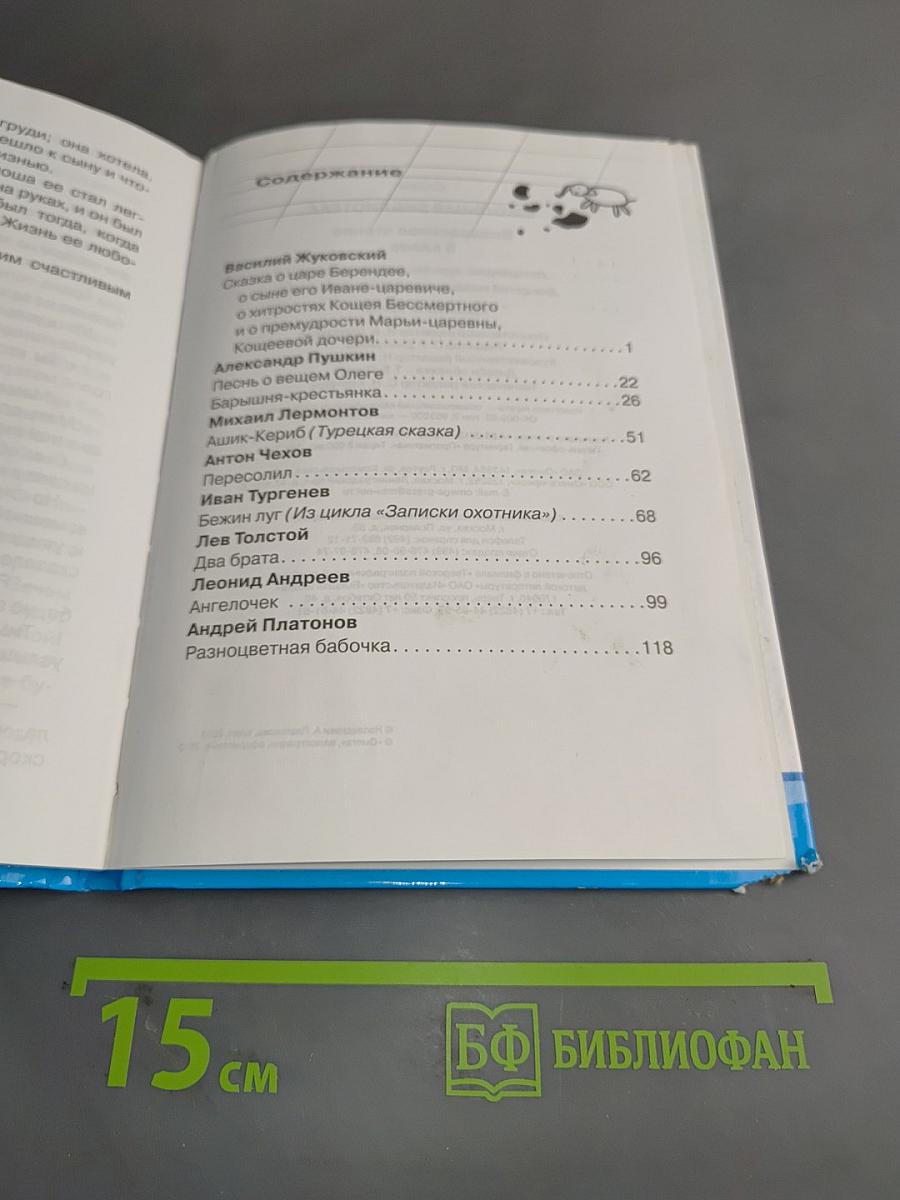 Внеклассное чтение. 5 класс