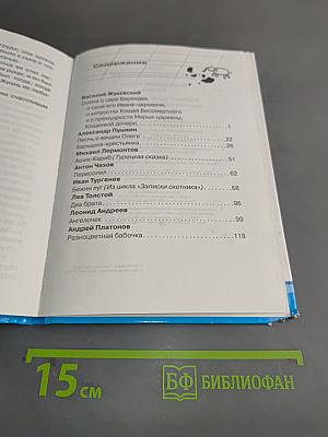 Внеклассное чтение. 5 класс